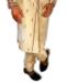 Picture of Resplendent Gold Cream Sherwani