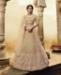 Picture of Grand Golden Lehenga Choli