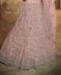 Picture of Elegant Pink Lehenga Choli