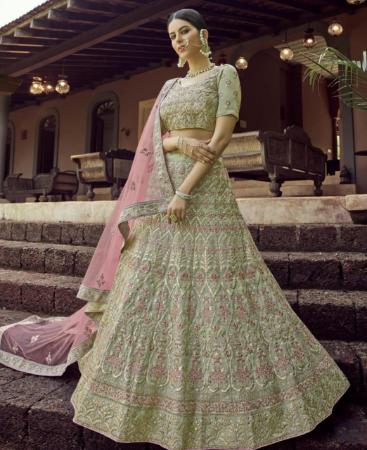 Picture of Lovely Olive Lehenga Choli
