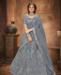 Picture of Pleasing Grey Lehenga Choli