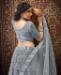 Picture of Pleasing Grey Lehenga Choli