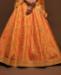 Picture of Bewitching Orange Lehenga Choli
