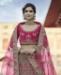 Picture of Fascinating Pink Lehenga Choli