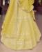 Picture of Beauteous Ocher Lehenga Choli