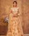 Picture of Amazing Peach Lehenga Choli