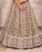 Picture of Ravishing Brown Lehenga Choli