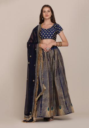 Picture of Beautiful Net Grey Lehenga Choli