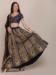 Picture of Beautiful Net Grey Lehenga Choli