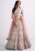 Picture of Beauteous Net Off White Lehenga Choli