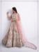 Picture of Beauteous Net Off White Lehenga Choli