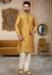 Picture of Magnificent Silk Sienna Kurtas