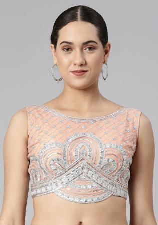 Picture of Ravishing Net Burly Wood Designer Blouse