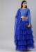 Picture of Sightly Net Navy Blue Lehenga Choli