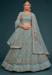 Picture of Enticing Net Light Slate Grey Lehenga Choli