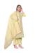 Picture of Comely Cotton Wheat Straight Cut Salwar Kameez