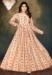 Picture of Beauteous Georgette Old Lace Readymade Gown