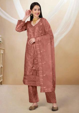 Picture of Stunning Net Indian Red Straight Cut Salwar Kameez