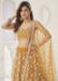 Picture of Sightly Net Sienna Lehenga Choli