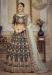 Picture of Elegant Net & Silk Dim Gray Lehenga Choli