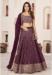 Picture of Fascinating Georgette Brown Lehenga Choli