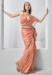 Picture of Admirable Net Tomato Saree