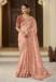 Picture of Well Formed Chiffon Tan Saree