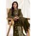 Picture of Georgette Dark Green Straight Cut Salwar Kameez