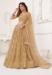 Picture of Wonderful Net Bisque Lehenga Choli
