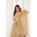 Picture of Wonderful Net Bisque Lehenga Choli