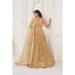 Picture of Wonderful Net Bisque Lehenga Choli