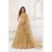 Picture of Wonderful Net Bisque Lehenga Choli