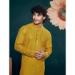 Picture of Splendid Silk Peru Kurtas