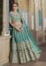 Picture of Beautiful Net Sea Green Lehenga Choli
