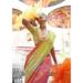 Picture of Nice Cotton Peru Saree