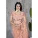 Picture of Wonderful Net Coral Saree