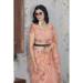 Picture of Wonderful Net Coral Saree