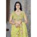 Picture of Splendid Net Dark Khaki Saree