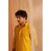 Picture of Comely Silk Golden Rod Kurtas