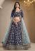 Picture of Beautiful Silk Dark Slate Grey Lehenga Choli