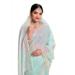 Picture of Excellent Georgette Medium Spring Green Saree