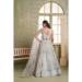 Picture of Elegant Net Silver Lehenga Choli