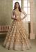 Picture of Nice Net Sienna Lehenga Choli