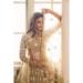 Picture of Nice Net Sienna Lehenga Choli