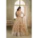 Picture of Nice Net Sienna Lehenga Choli