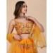 Picture of Wonderful Net Chocolate Lehenga Choli