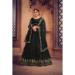 Picture of Lovely Net Black Lehenga Choli