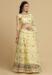 Picture of Charming Net Burly Wood Lehenga Choli