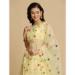 Picture of Charming Net Burly Wood Lehenga Choli