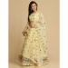 Picture of Charming Net Burly Wood Lehenga Choli